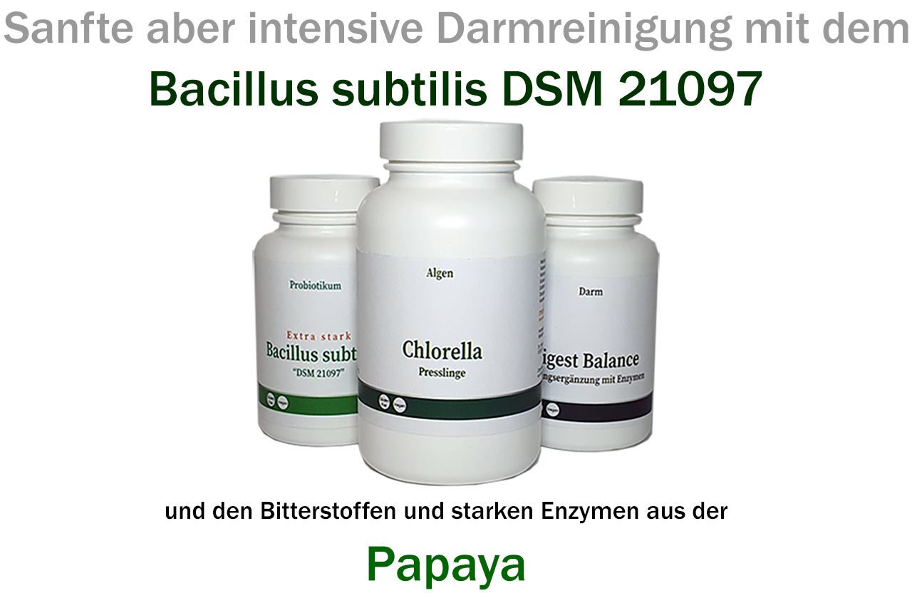 Produkte mit dem Bacillus subtilis DSM 21097